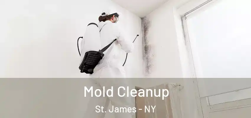  Mold Cleanup St. James - NY