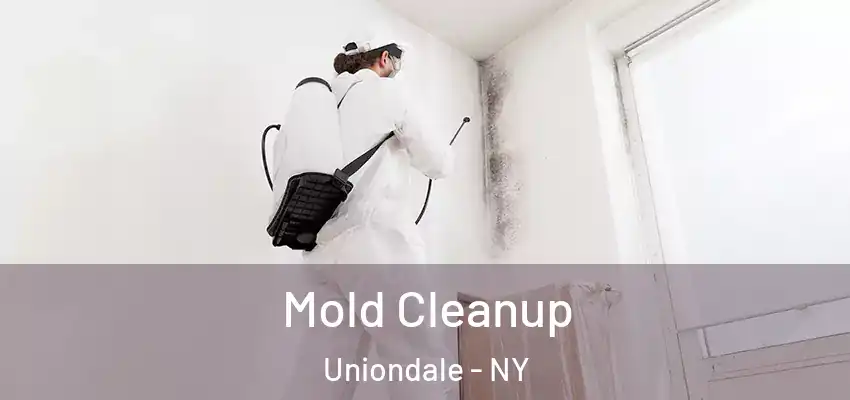 Mold Cleanup Uniondale - NY