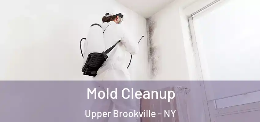  Mold Cleanup Upper Brookville - NY
