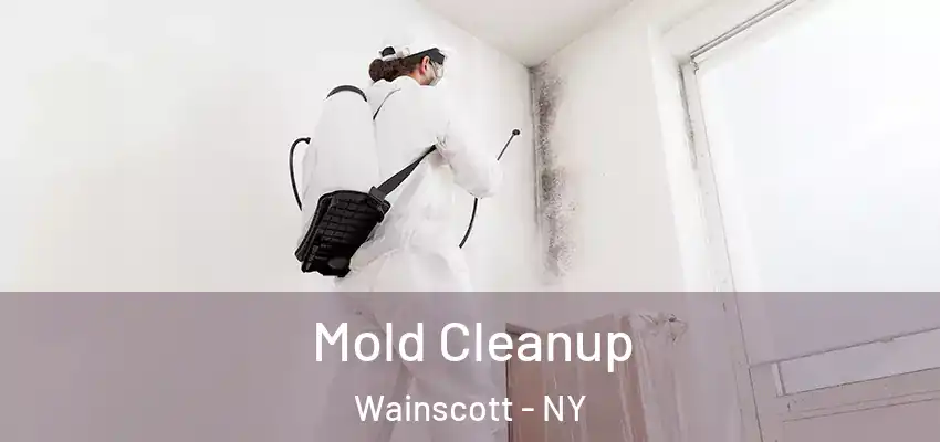 Mold Cleanup Wainscott - NY