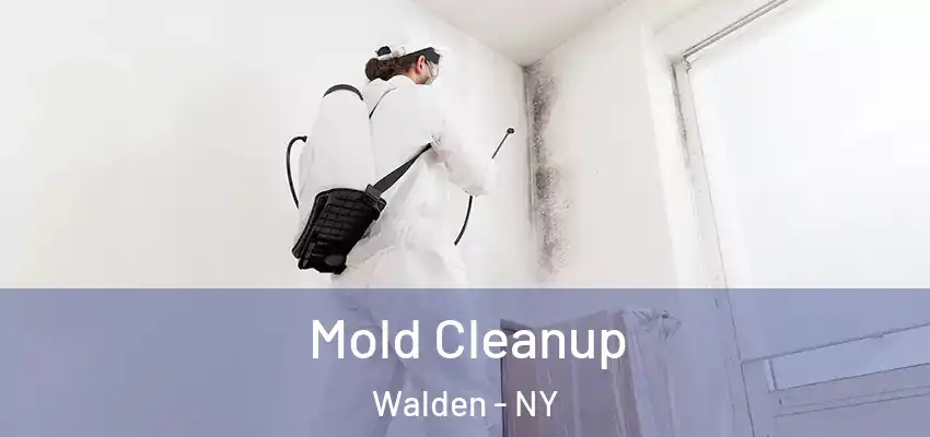 Mold Cleanup Walden - NY