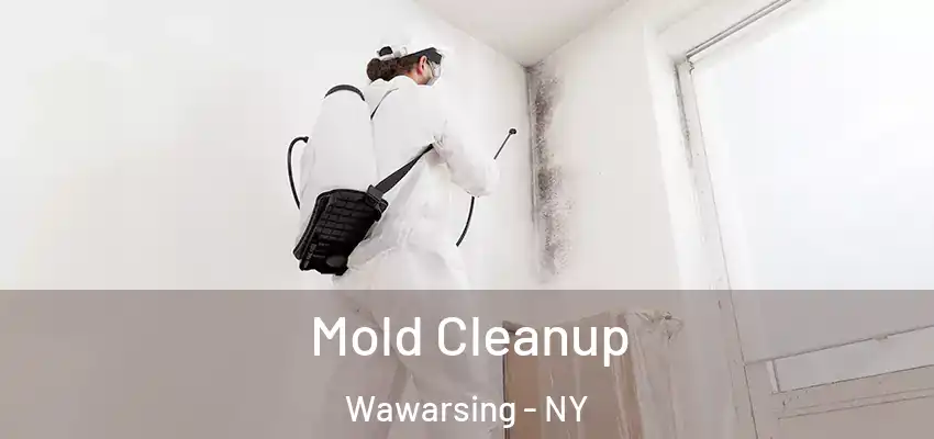  Mold Cleanup Wawarsing - NY