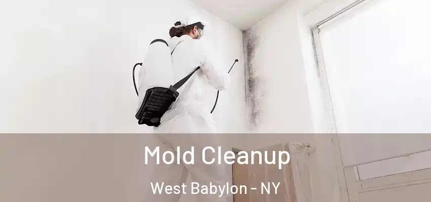 Mold Cleanup West Babylon - NY