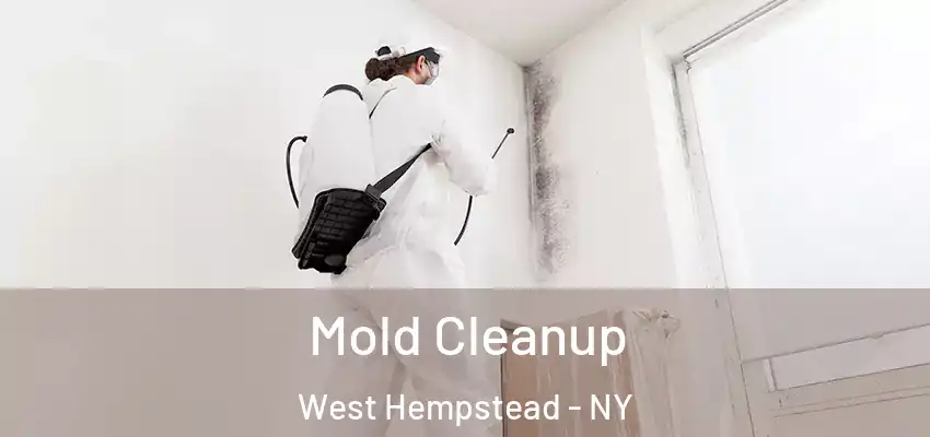 Mold Cleanup West Hempstead - NY