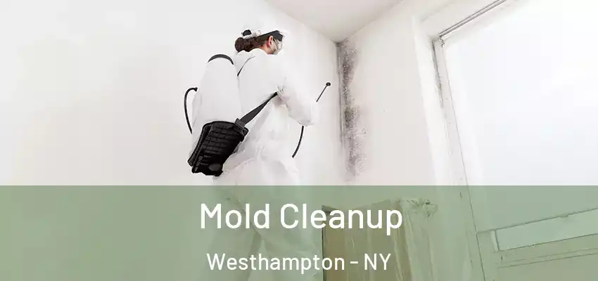  Mold Cleanup Westhampton - NY