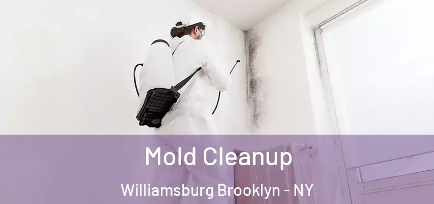 Mold Cleanup Williamsburg Brooklyn - NY