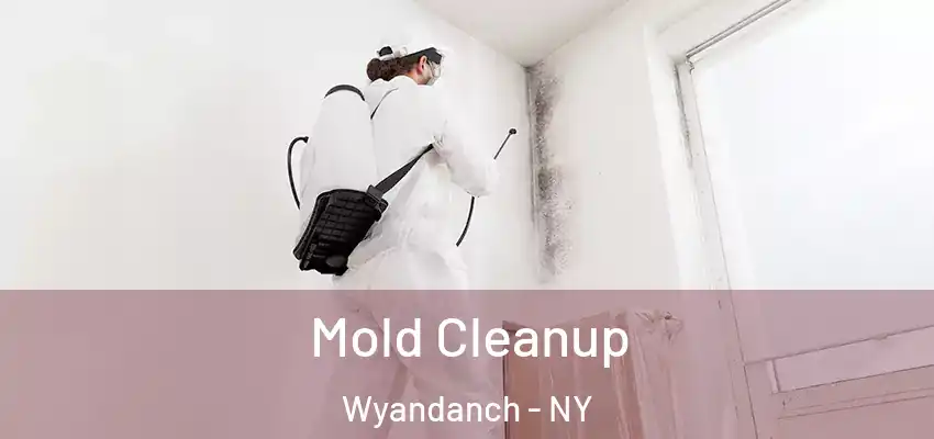 Mold Cleanup Wyandanch - NY