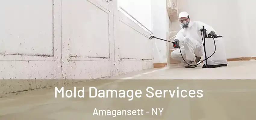 Mold Damage Services Amagansett - NY
