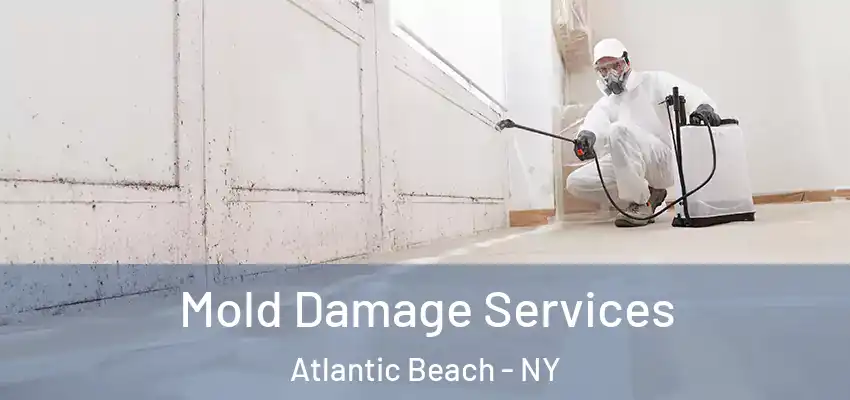 Mold Damage Services Atlantic Beach - NY