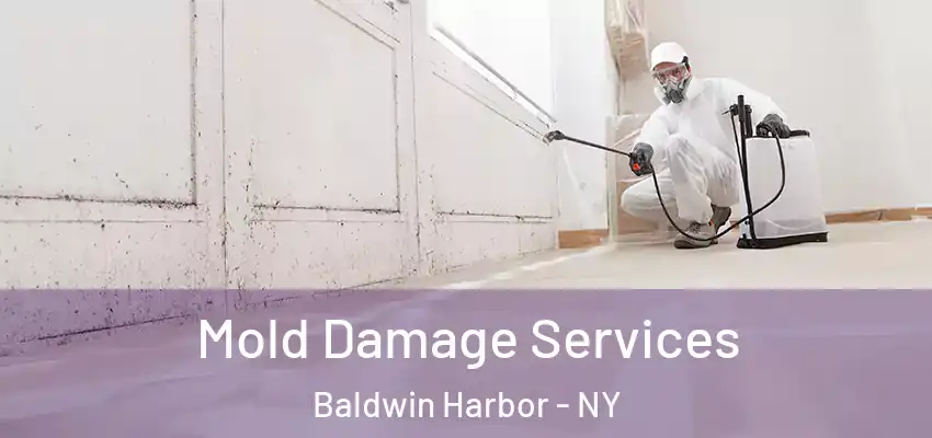  Mold Damage Services Baldwin Harbor - NY
