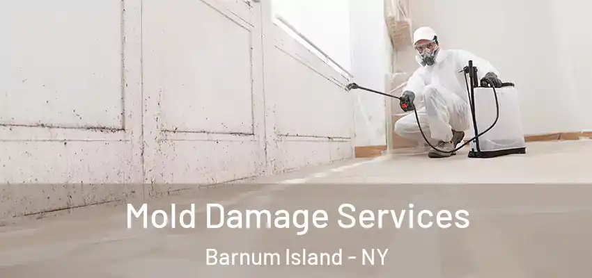  Mold Damage Services Barnum Island - NY
