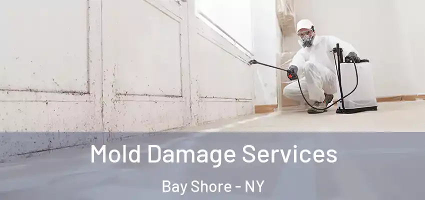  Mold Damage Services Bay Shore - NY