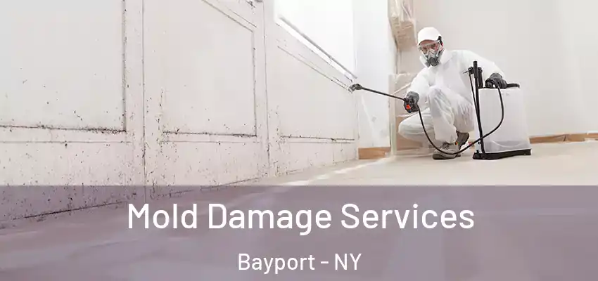 Mold Damage Services Bayport - NY