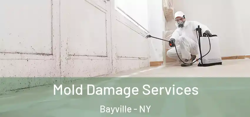 Mold Damage Services Bayville - NY