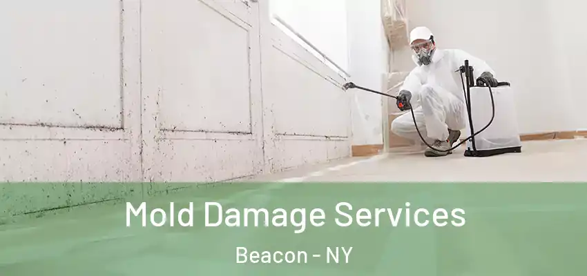  Mold Damage Services Beacon - NY