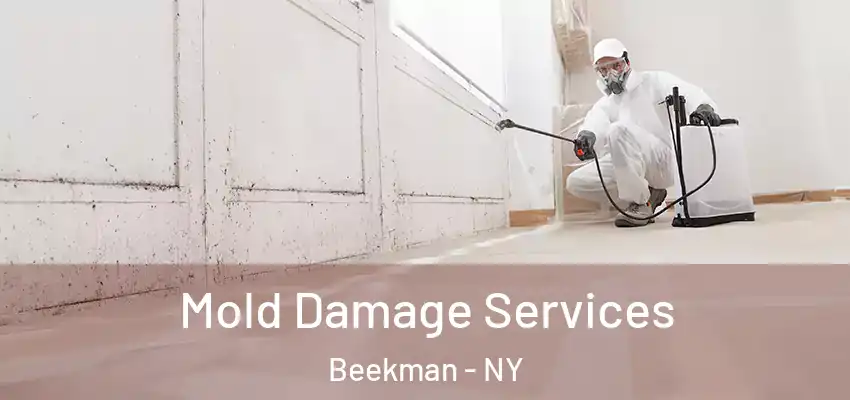  Mold Damage Services Beekman - NY