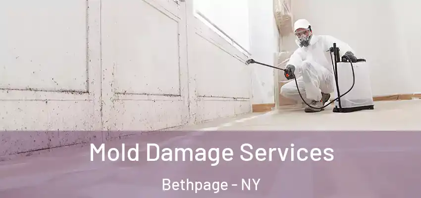  Mold Damage Services Bethpage - NY