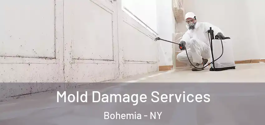 Mold Damage Services Bohemia - NY