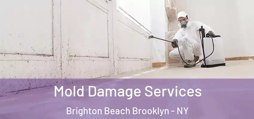  Mold Damage Services Brighton Beach Brooklyn - NY