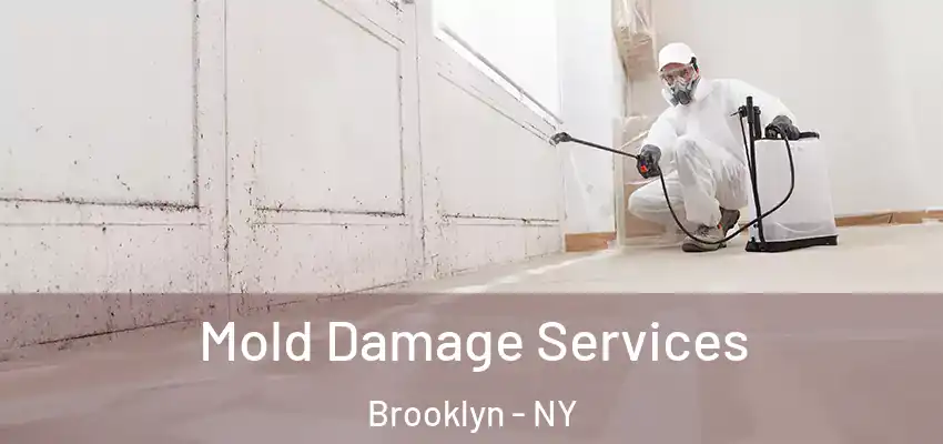  Mold Damage Services Brooklyn - NY