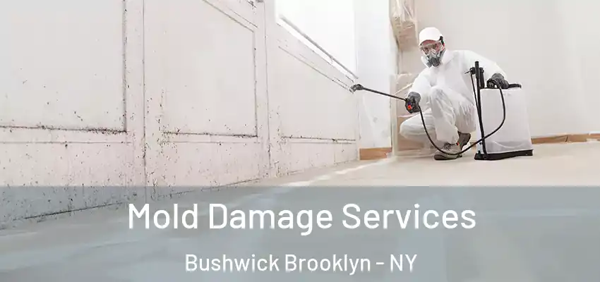  Mold Damage Services Bushwick Brooklyn - NY
