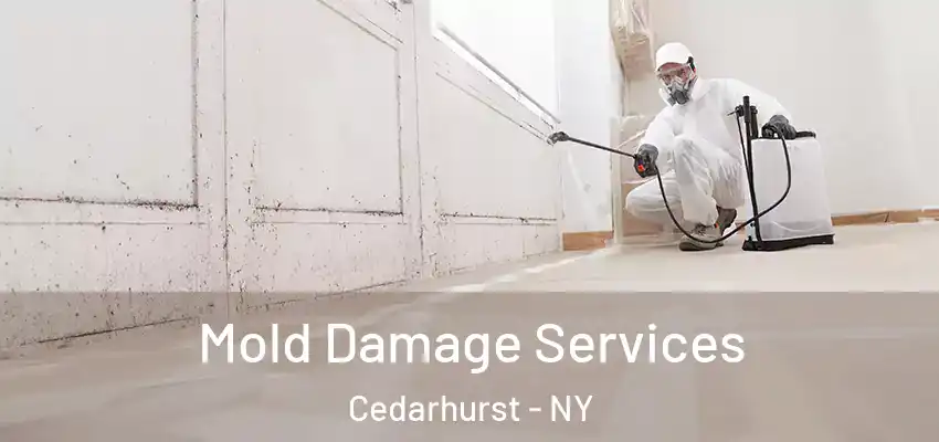  Mold Damage Services Cedarhurst - NY