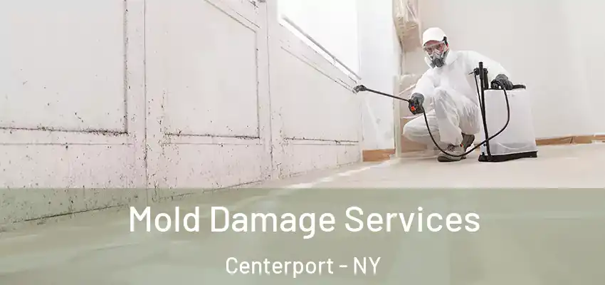 Mold Damage Services Centerport - NY