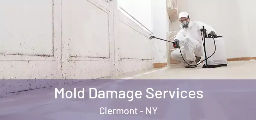  Mold Damage Services Clermont - NY