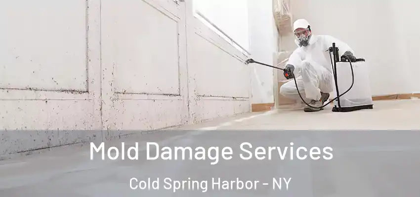  Mold Damage Services Cold Spring Harbor - NY