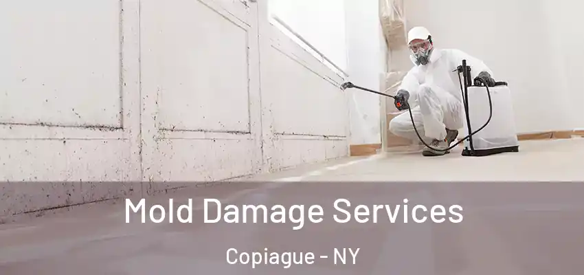  Mold Damage Services Copiague - NY
