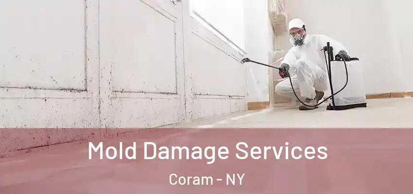  Mold Damage Services Coram - NY
