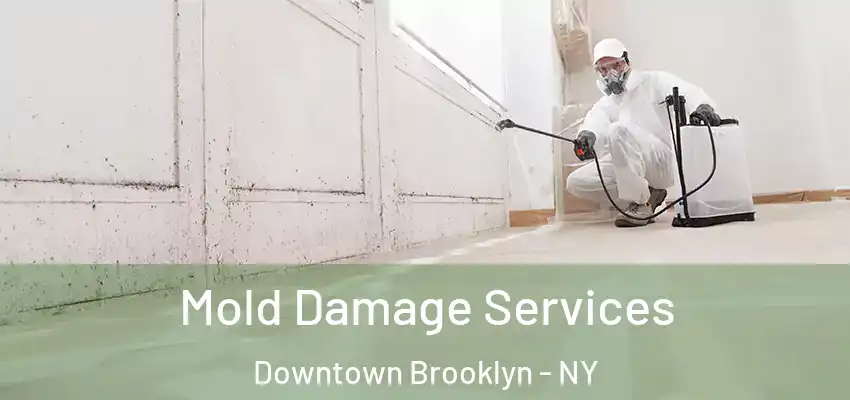  Mold Damage Services Downtown Brooklyn - NY