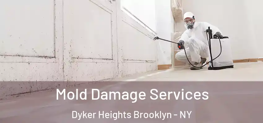  Mold Damage Services Dyker Heights Brooklyn - NY