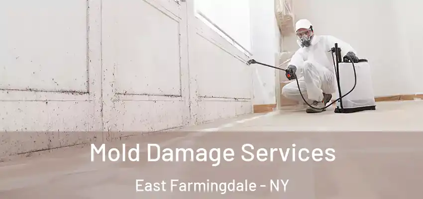  Mold Damage Services East Farmingdale - NY