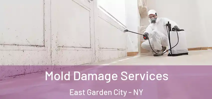 Mold Damage Services East Garden City - NY