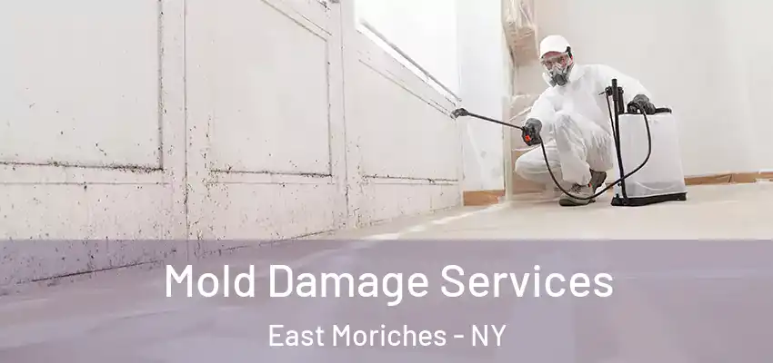  Mold Damage Services East Moriches - NY