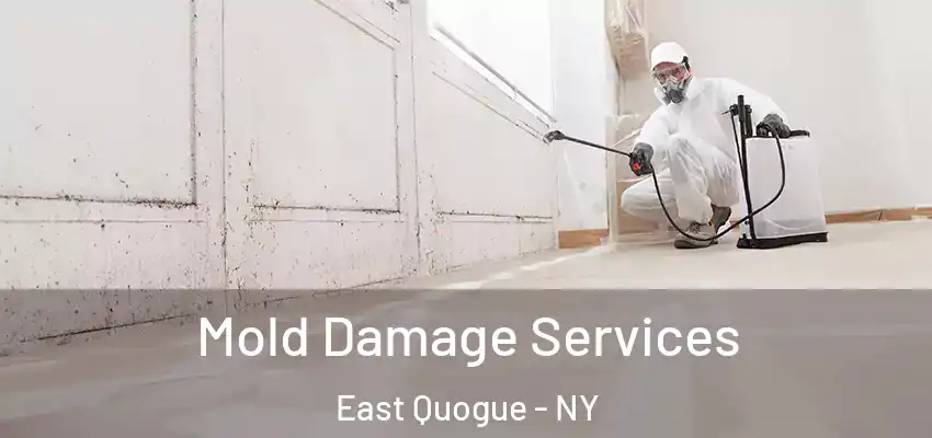  Mold Damage Services East Quogue - NY