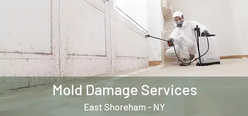  Mold Damage Services East Shoreham - NY