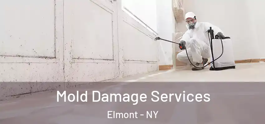 Mold Damage Services Elmont - NY