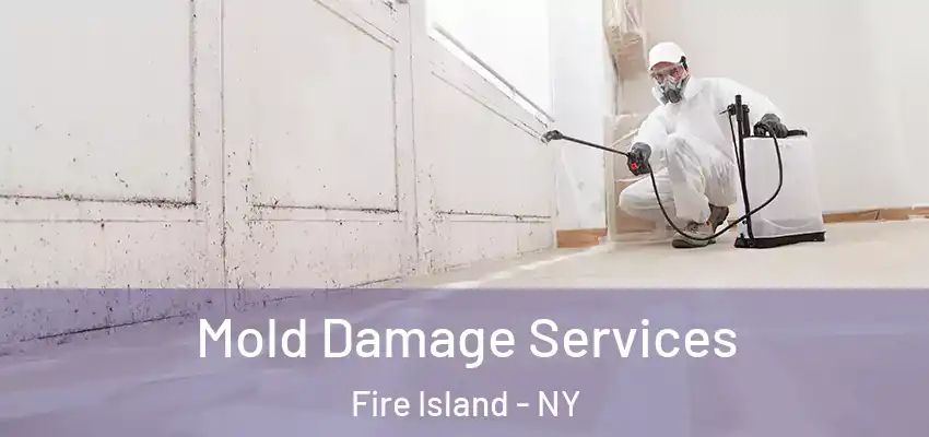 Mold Damage Services Fire Island - NY