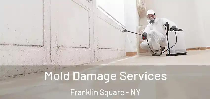  Mold Damage Services Franklin Square - NY