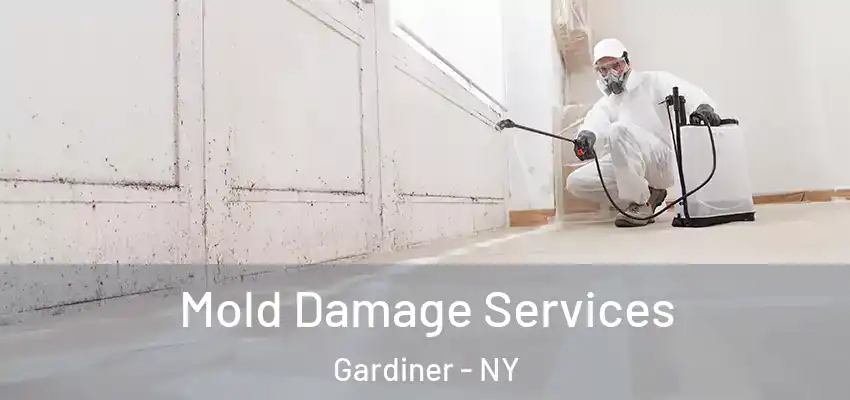 Mold Damage Services Gardiner - NY