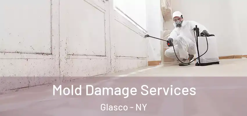  Mold Damage Services Glasco - NY