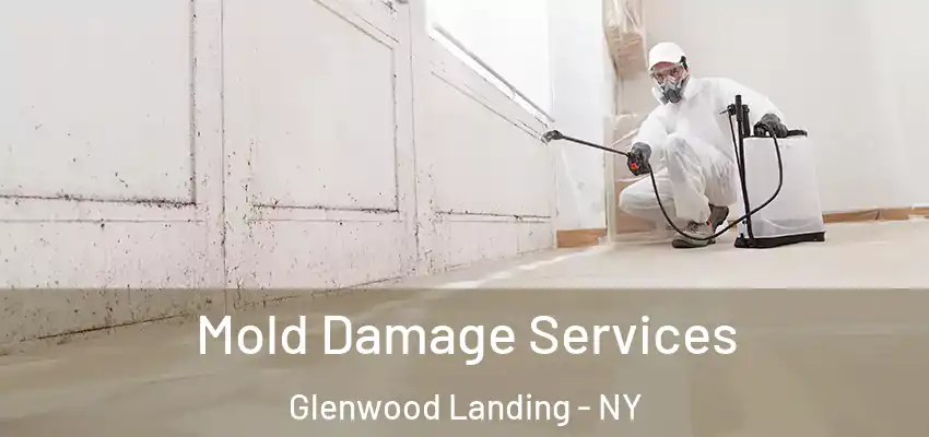  Mold Damage Services Glenwood Landing - NY