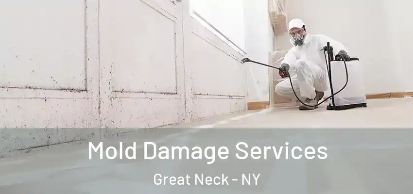 Mold Damage Services Great Neck - NY