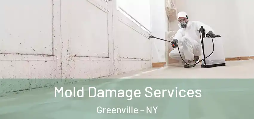 Mold Damage Services Greenville - NY