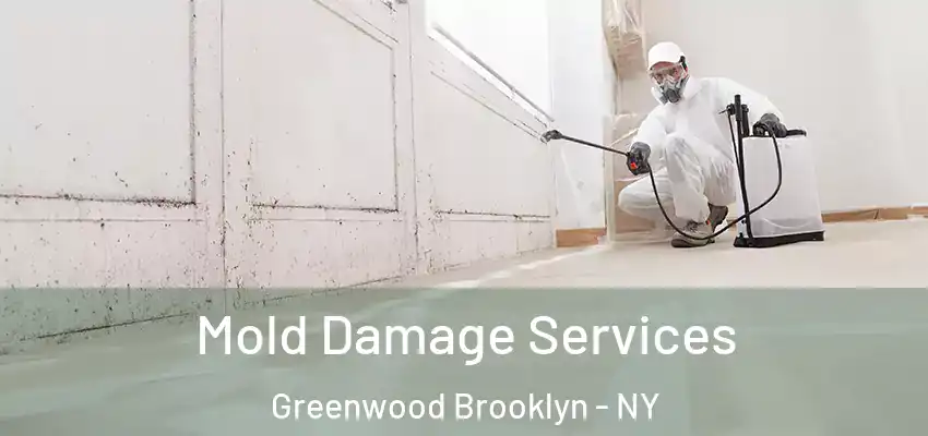  Mold Damage Services Greenwood Brooklyn - NY