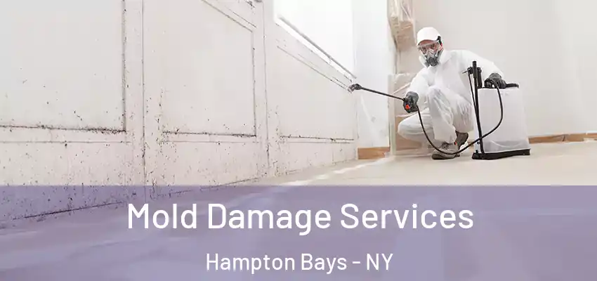  Mold Damage Services Hampton Bays - NY