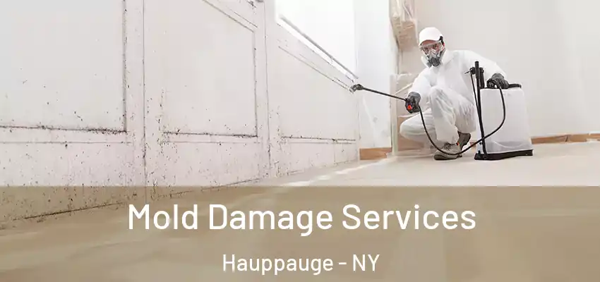 Mold Damage Services Hauppauge - NY