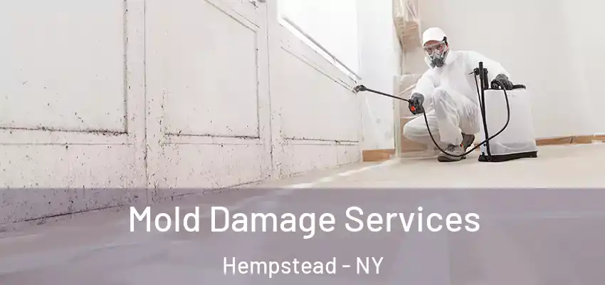  Mold Damage Services Hempstead - NY